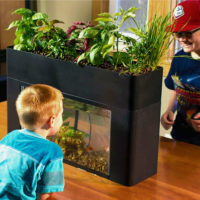 AquaSprouts Aquarium Garden